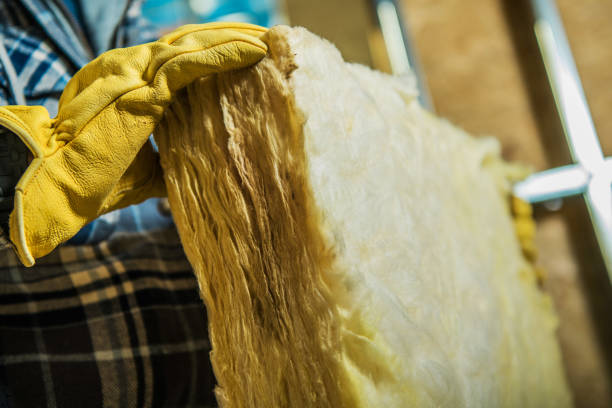 Best Insulation Installation Services in Santa Moni, CA