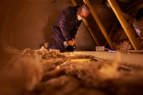 Santa Moni, CA Insulation Contractor Pros